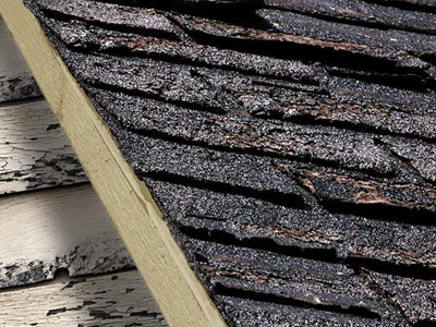 Best Roofing and Gutters Images